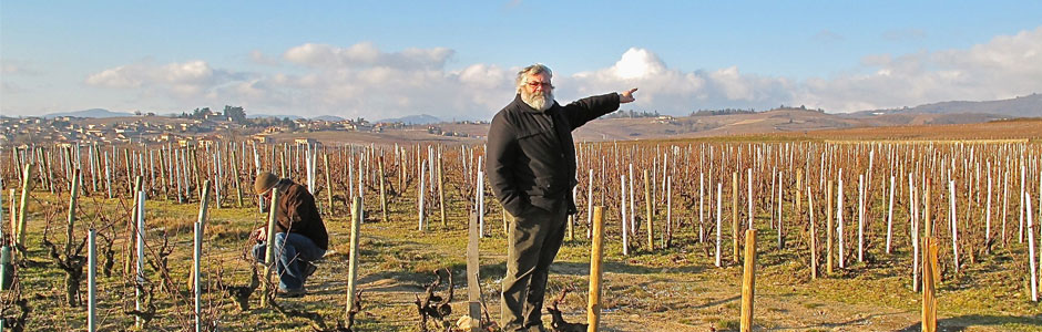 Chateau Cambon